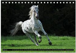 Innenansicht 9