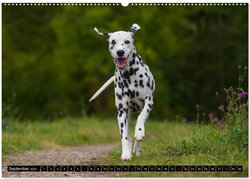 Innenansicht 10