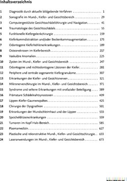Inhaltsverzeichnis 1