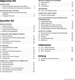 Inhaltsverzeichnis 1