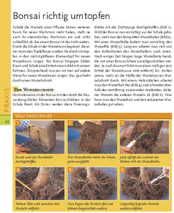 Innenansicht 6