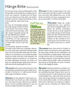 Innenansicht 7