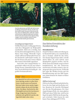 Innenansicht 7
