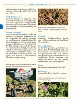 Innenansicht 3