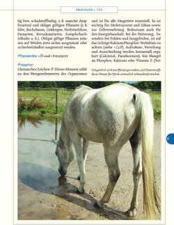 Innenansicht 6