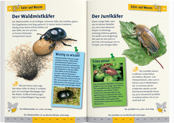 Innenansicht
