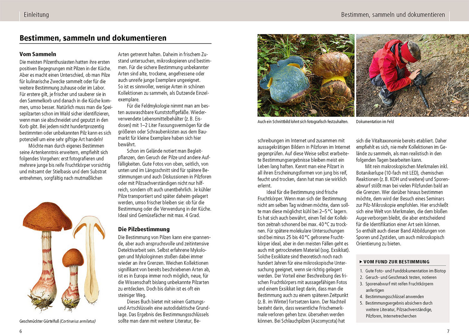 lesen