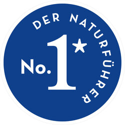 Innenansicht 5