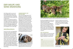 Innenansicht 1