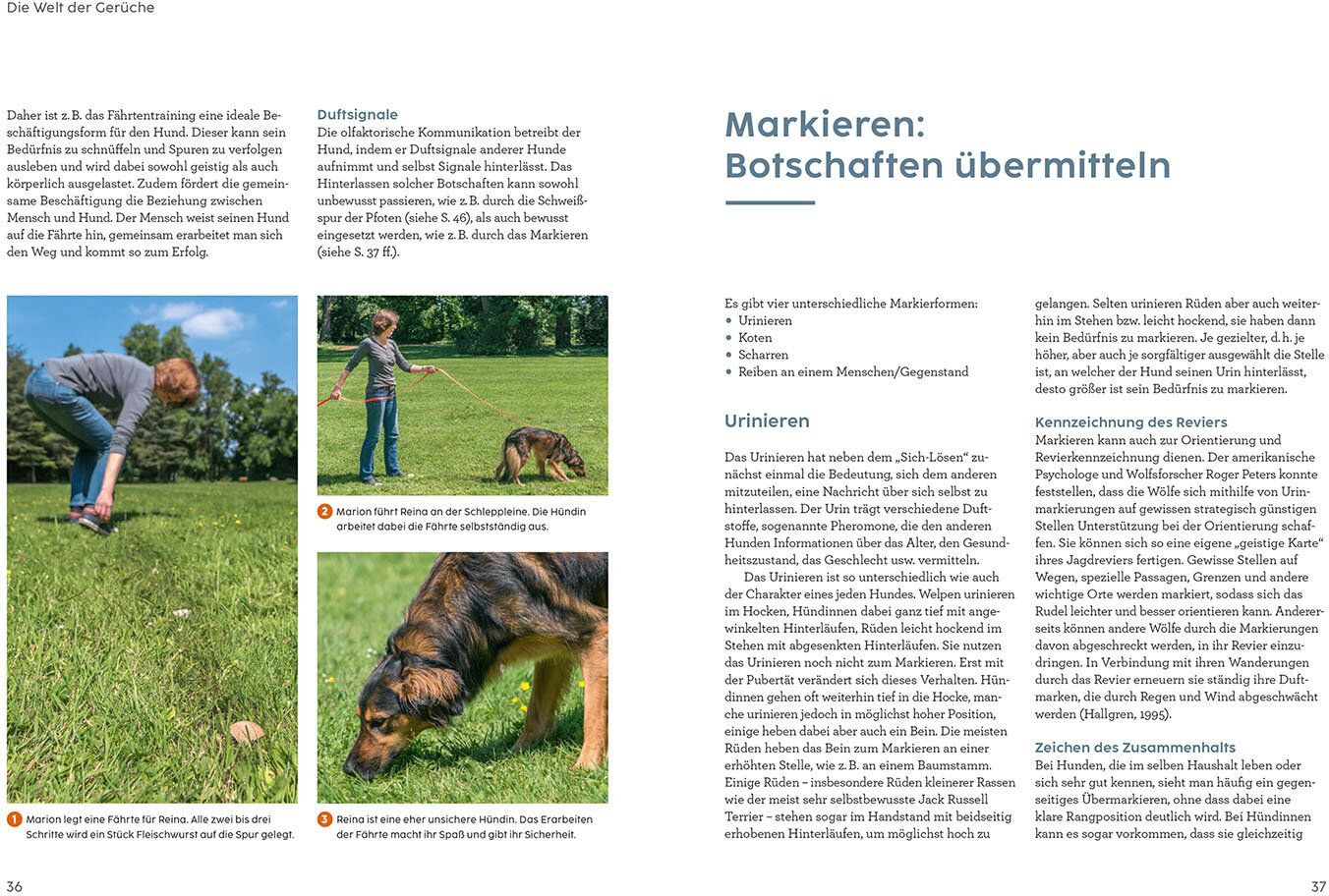 lesen