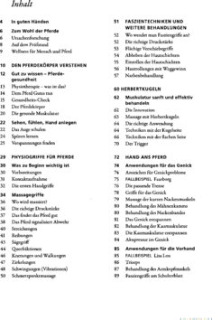 Inhaltsverzeichnis 1