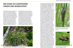 Innenansicht 1