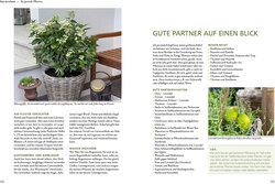 Innenansicht 4