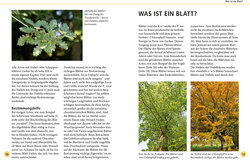 Innenansicht 1