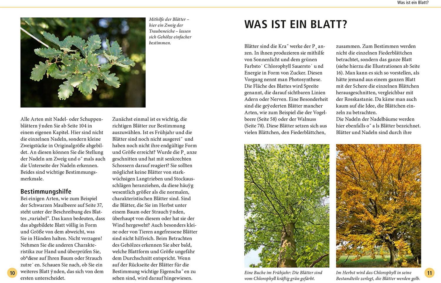 lesen