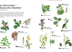 Innenansicht 4