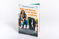 Innenansicht 2