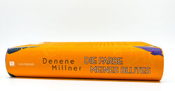 Innenansicht 1