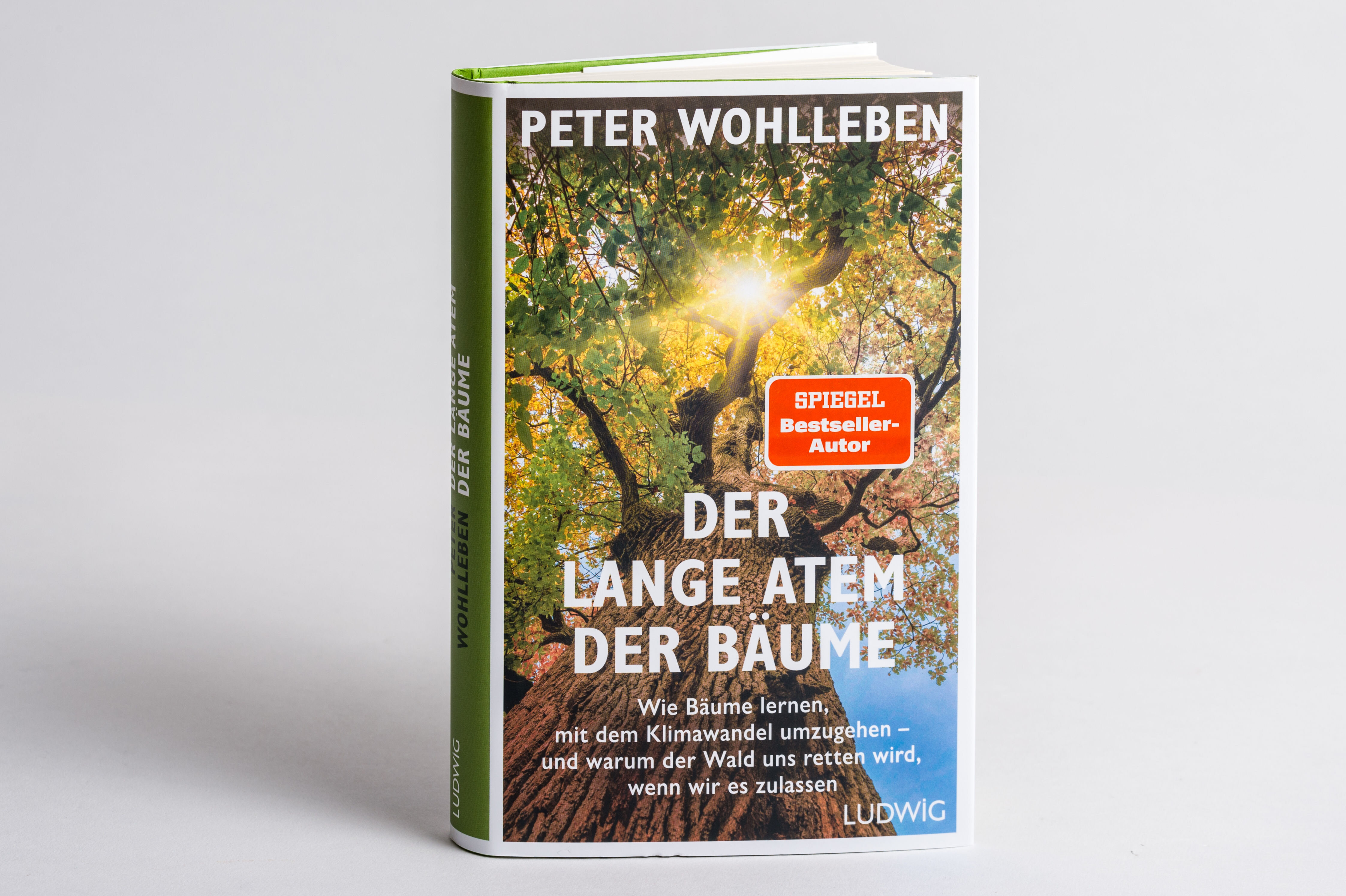lesen