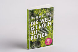 Innenansicht 1