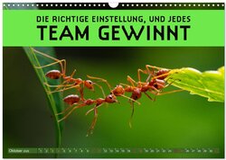 Innenansicht 12