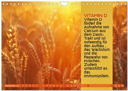 Innenansicht 11