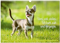 Innenansicht 4