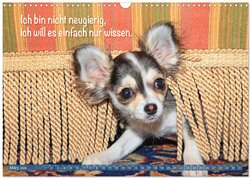 Innenansicht 5