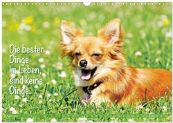 Innenansicht 6