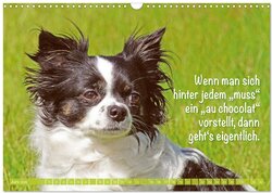 Innenansicht 8
