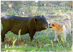 Innenansicht 9