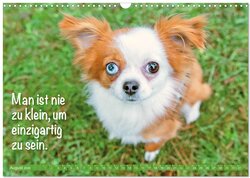 Innenansicht 10