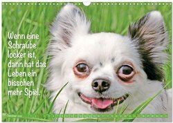 Innenansicht 12