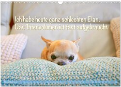 Innenansicht 13