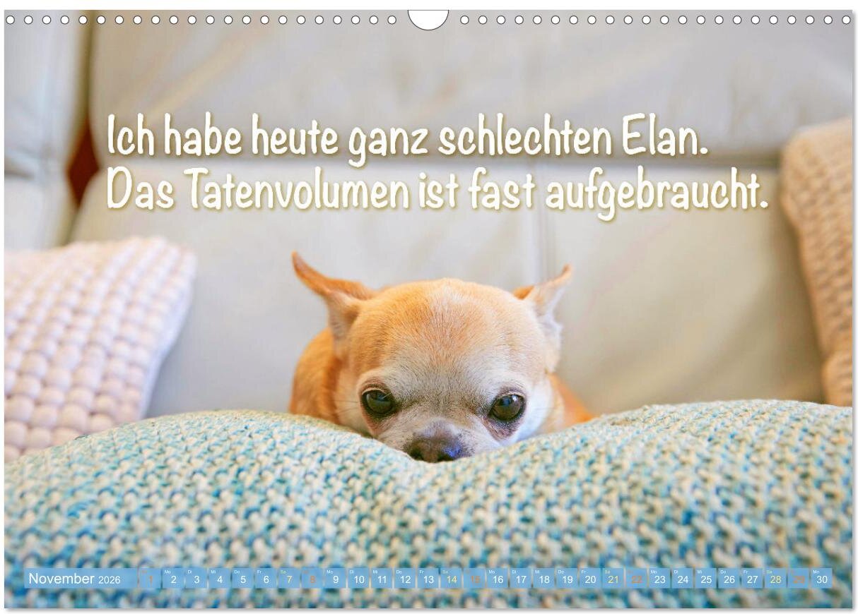 lesen