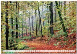 Innenansicht 13