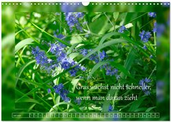 Innenansicht 9