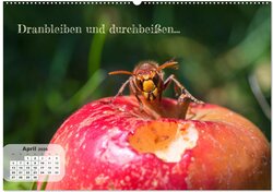 Innenansicht 6