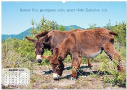 Innenansicht 10