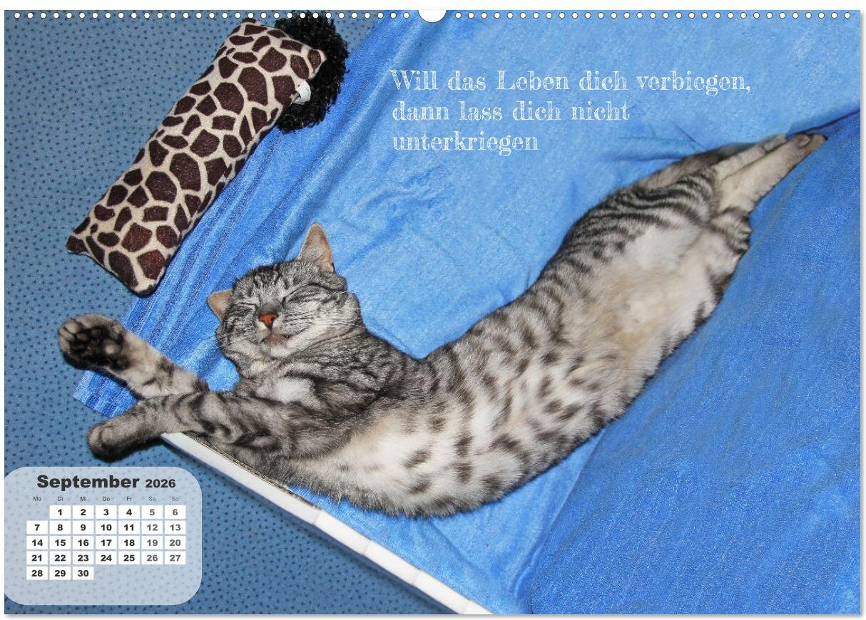 lesen