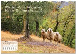 Innenansicht 12