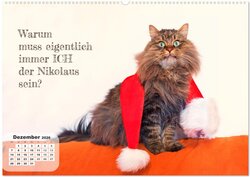 Innenansicht 14