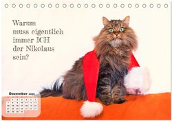 Innenansicht 14