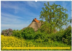Innenansicht 9