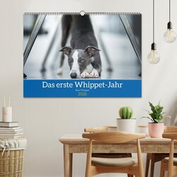 Innenansicht 2