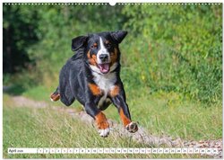 Innenansicht 5
