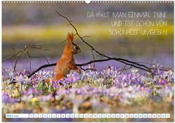 Innenansicht 4