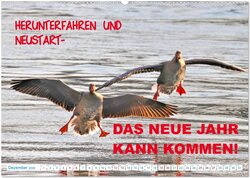 Innenansicht 13
