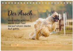 Innenansicht 3