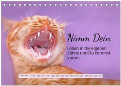 Innenansicht 4